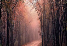 [棋牌]第29届马桥杯中国围棋新人王赛决出八强.